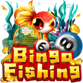 Bingo Fishing on 30jili login register